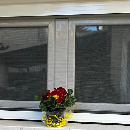 Bouganville Casa Vacanza Ambiente Climatizzato Con Wi Fi Pineto Dış mekan fotoğraf