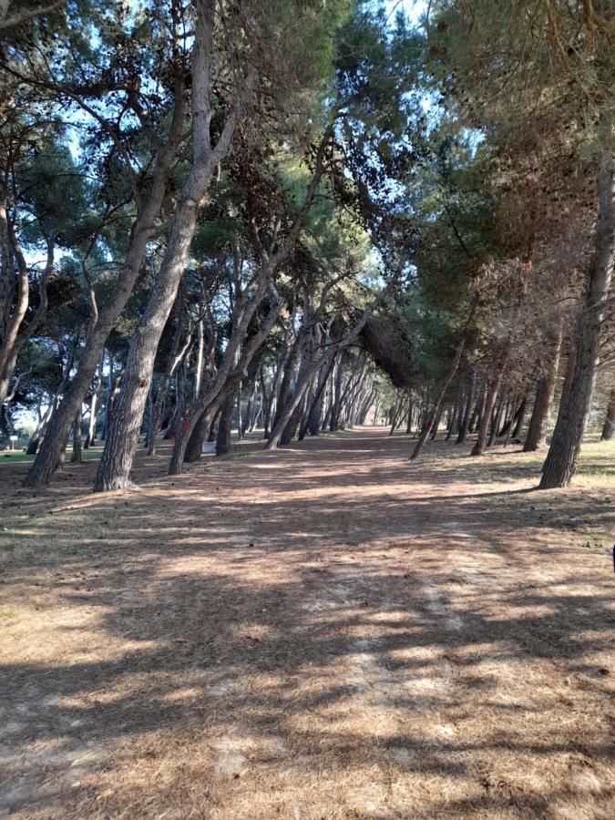 Bouganville Casa Vacanza Ambiente Climatizzato Con Wi Fi Pineto Dış mekan fotoğraf