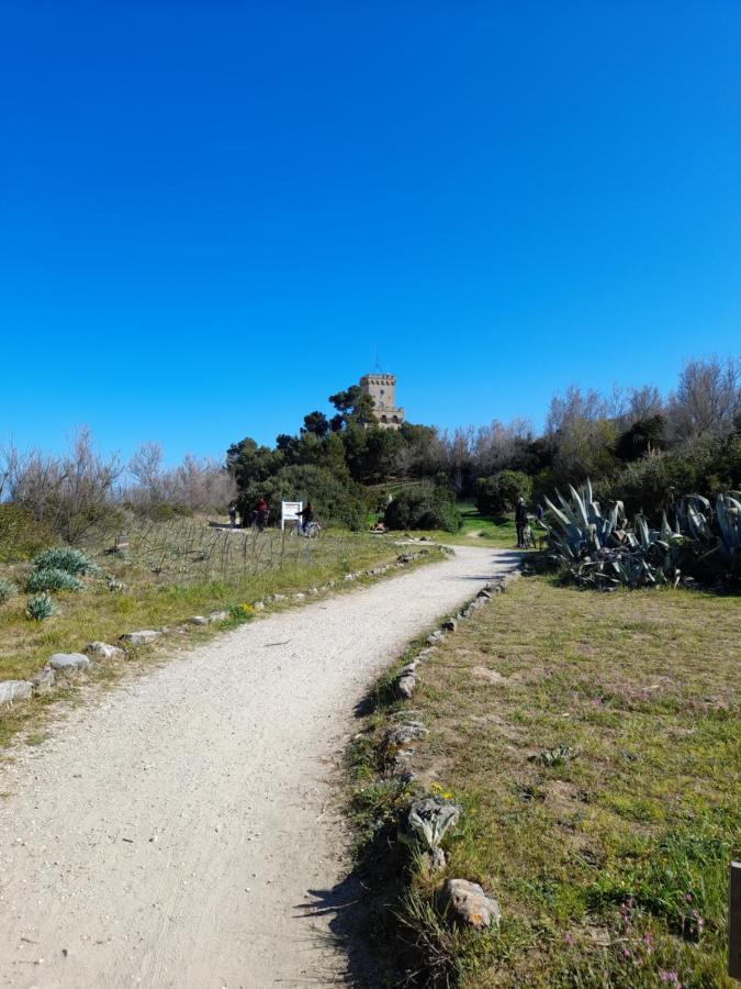 Bouganville Casa Vacanza Ambiente Climatizzato Con Wi Fi Pineto Dış mekan fotoğraf