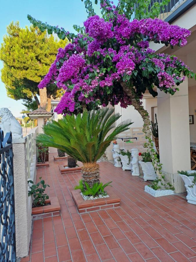 Bouganville Casa Vacanza Ambiente Climatizzato Con Wi Fi Pineto Dış mekan fotoğraf