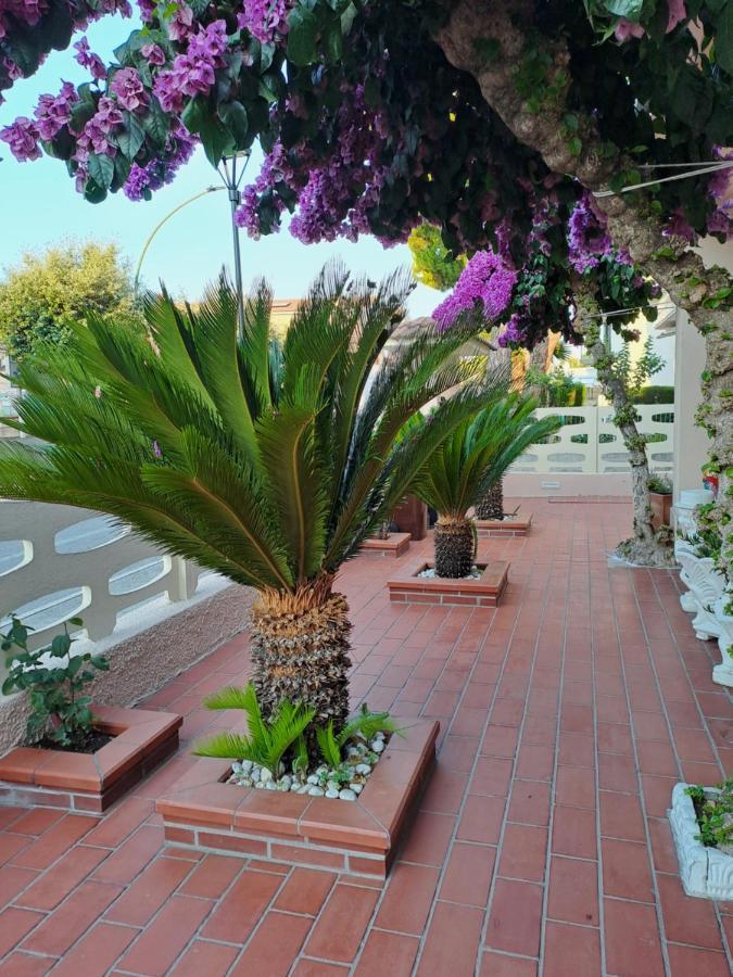 Bouganville Casa Vacanza Ambiente Climatizzato Con Wi Fi Pineto Dış mekan fotoğraf