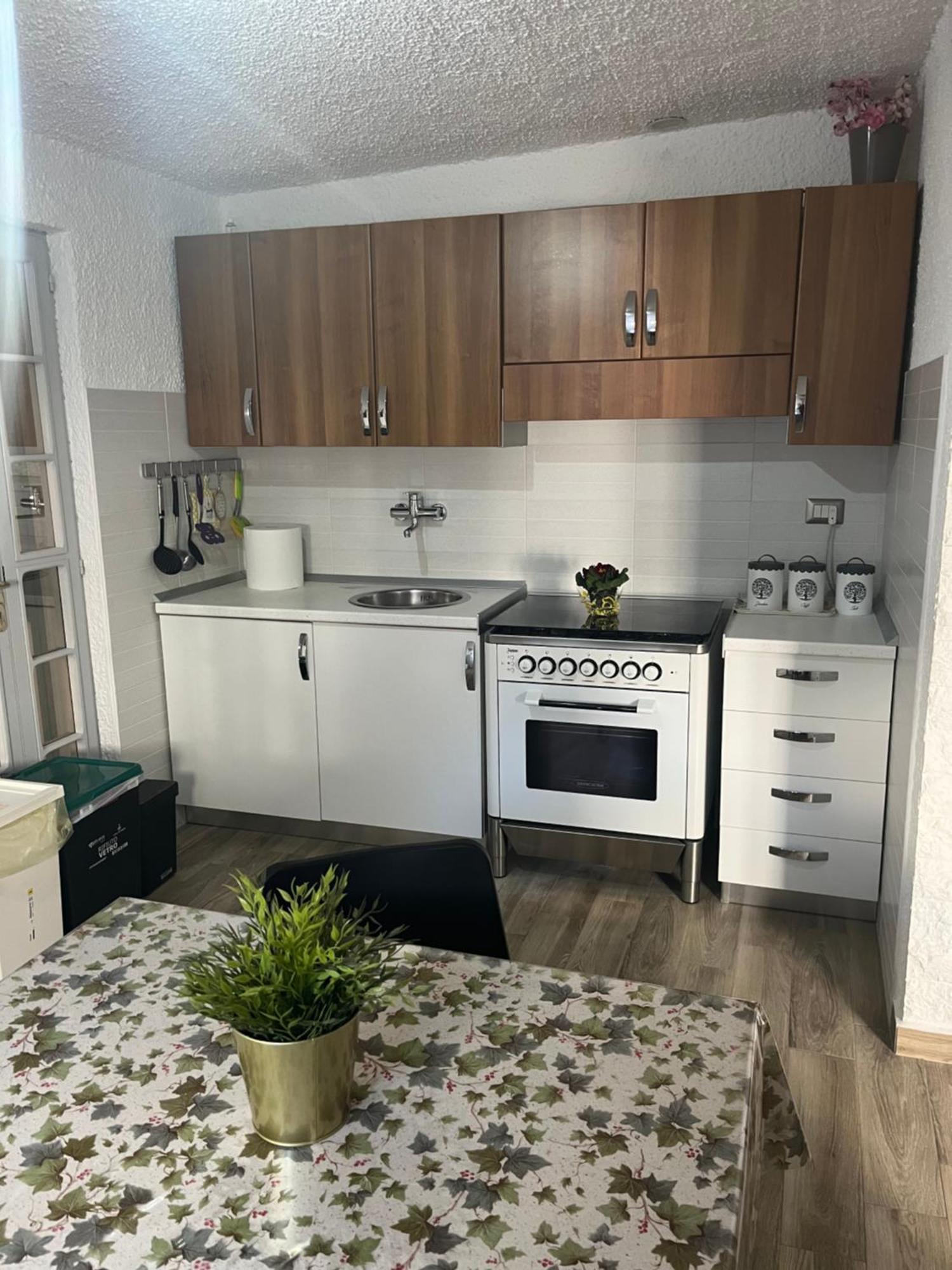 Bouganville Casa Vacanza Ambiente Climatizzato Con Wi Fi Pineto Dış mekan fotoğraf